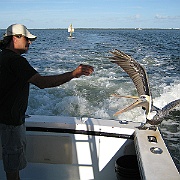 Picture 008
